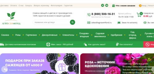 Скриншот настольной версии сайта agrosemfond.ru