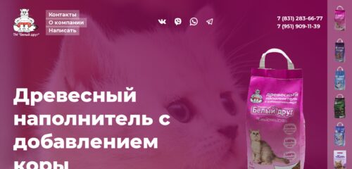 Скриншот настольной версии сайта alexander-nnov.ru