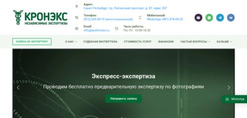 Скриншот настольной версии сайта anokronex.ru