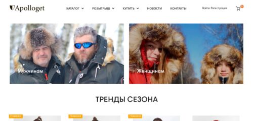 Скриншот настольной версии сайта apolloget.ru