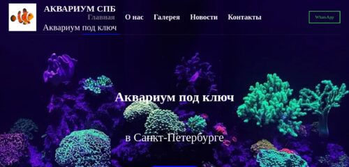 Скриншот настольной версии сайта aquarium-spb.ru