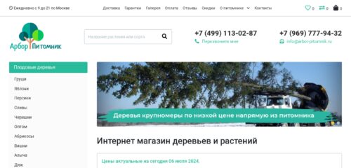 Скриншот настольной версии сайта arbor-pitomnik.ru