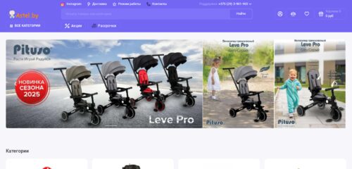 Скриншот настольной версии сайта astel.by