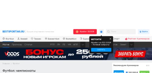 Скриншот настольной версии сайта bestsport365.ru