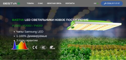 Скриншот настольной версии сайта bestvaled.ru