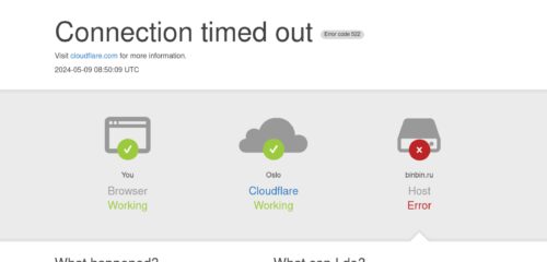 Скриншот настольной версии сайта binbin.ru