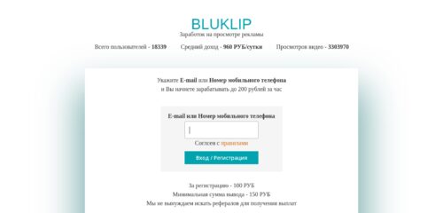 Скриншот настольной версии сайта bluklip.site