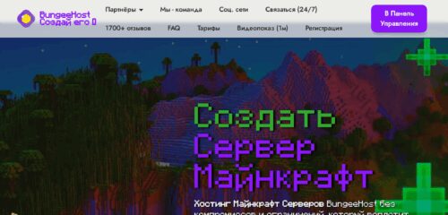 Скриншот настольной версии сайта bungee.host