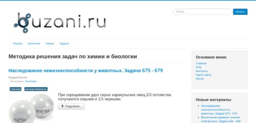 Скриншот настольной версии сайта buzani.ru