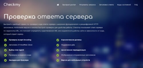 Скриншот настольной версии сайта checkmy.ru