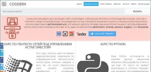 Скриншот настольной версии сайта codebra.ru