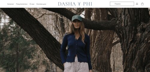 Скриншот настольной версии сайта dashaphi.ru