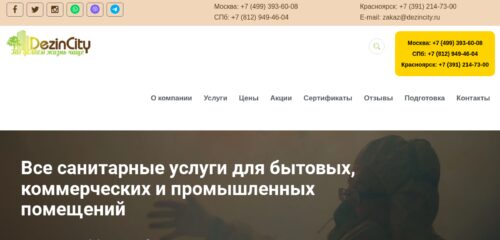 Скриншот настольной версии сайта dezincity.ru