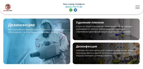 Скриншот настольной версии сайта dezynfektor1.ru