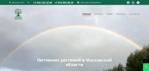 Скриншот настольной версии сайта dubrovino-plants.ru