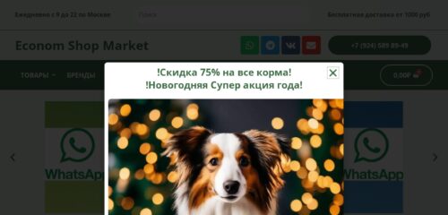 Скриншот настольной версии сайта economshopmarket.ru