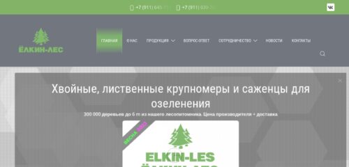 Скриншот настольной версии сайта elkin-les.ru