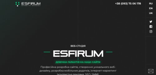 Скриншот настольной версии сайта esfirum.com