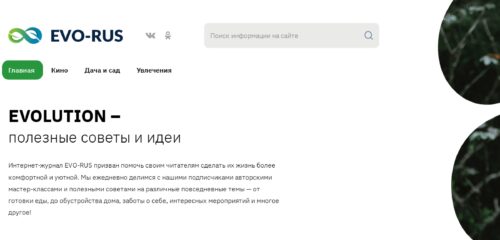 Скриншот настольной версии сайта evo-rus.com