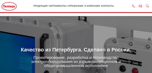 Скриншот настольной версии сайта ex-peppersrussia.com