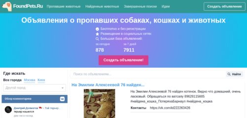Скриншот настольной версии сайта foundpets.ru
