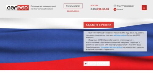 Скриншот настольной версии сайта gefesd.ru