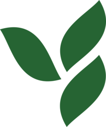 Фавикон сайта herbalife.ru