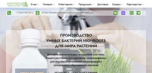 Скриншот настольной версии сайта highroots.ru