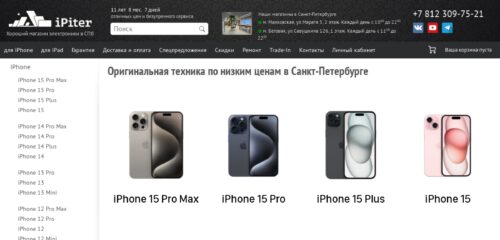 Скриншот настольной версии сайта ipiter.ru