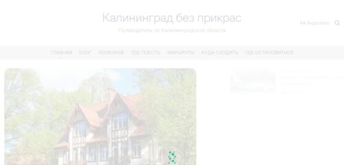 Скриншот настольной версии сайта kld-39.ru