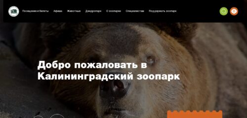 Скриншот настольной версии сайта kldzoo.ru