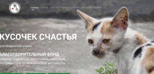 Скриншот настольной версии сайта kusochekschastya.ru