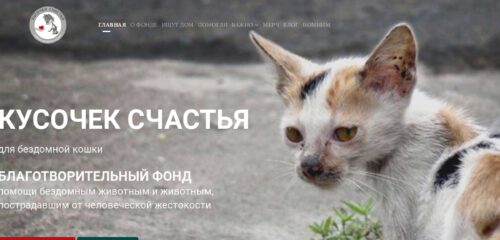 Скриншот десктопной версии сайта kusochekschastya.ru