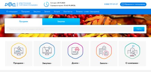 Скриншот настольной версии сайта lot-online.ru
