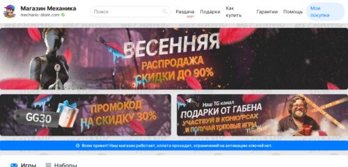 Скриншот настольной версии сайта mechanic-store.com