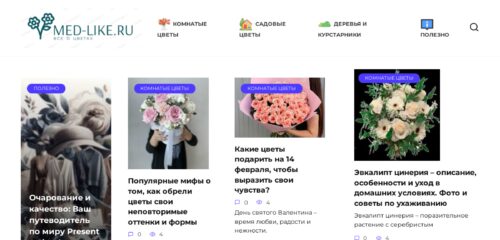 Скриншот настольной версии сайта med-like.ru