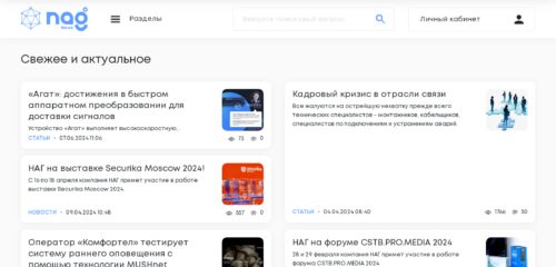 Скриншот настольной версии сайта nag.ru