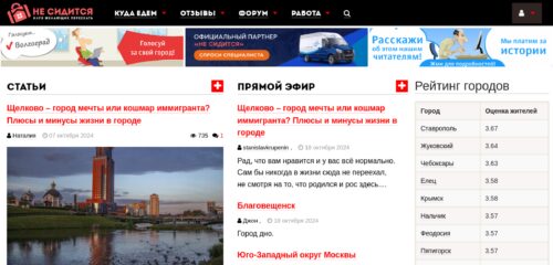 Скриншот настольной версии сайта nesiditsa.ru