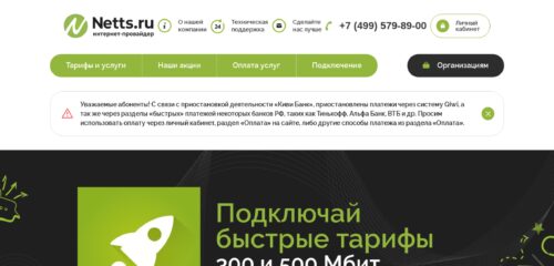 Скриншот настольной версии сайта netts.ru