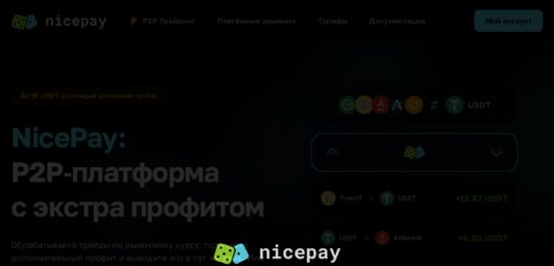 Скриншот настольной версии сайта nicepay.io