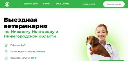 Скриншот настольной версии сайта nn.pet-health24.ru
