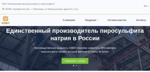 Скриншот настольной версии сайта nzbp.ru