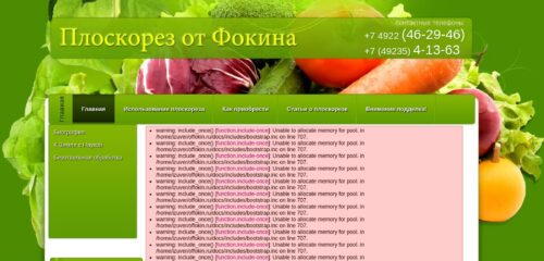 Скриншот настольной версии сайта offokin.ru