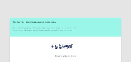 Скриншот настольной версии сайта oldi.ru