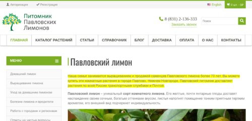Скриншот настольной версии сайта pavlovolimon.ru
