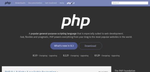 Скриншот настольной версии сайта php.net