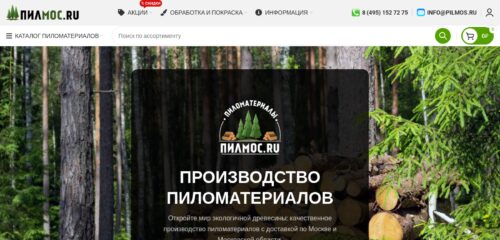 Скриншот настольной версии сайта pilmos.ru