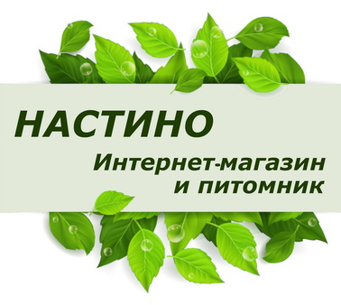 Фавикон сайта pitomnik-nastino.ru