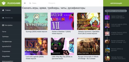 Скриншот настольной версии сайта pleogame.ru