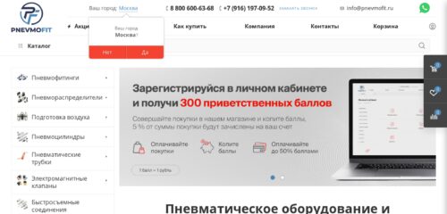 Скриншот настольной версии сайта pnevmofit.ru